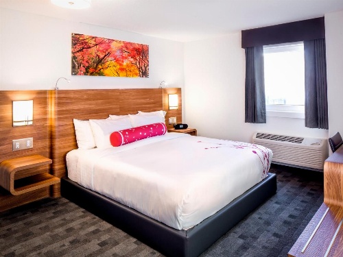 Hotel Elan image 4
