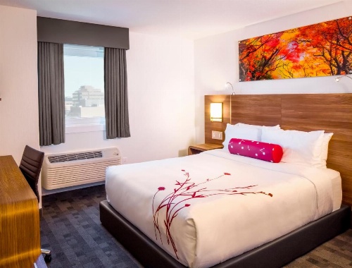 Hotel Elan image 5